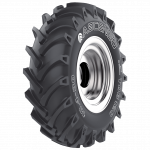 ASCENSO TDB120 R1 TL